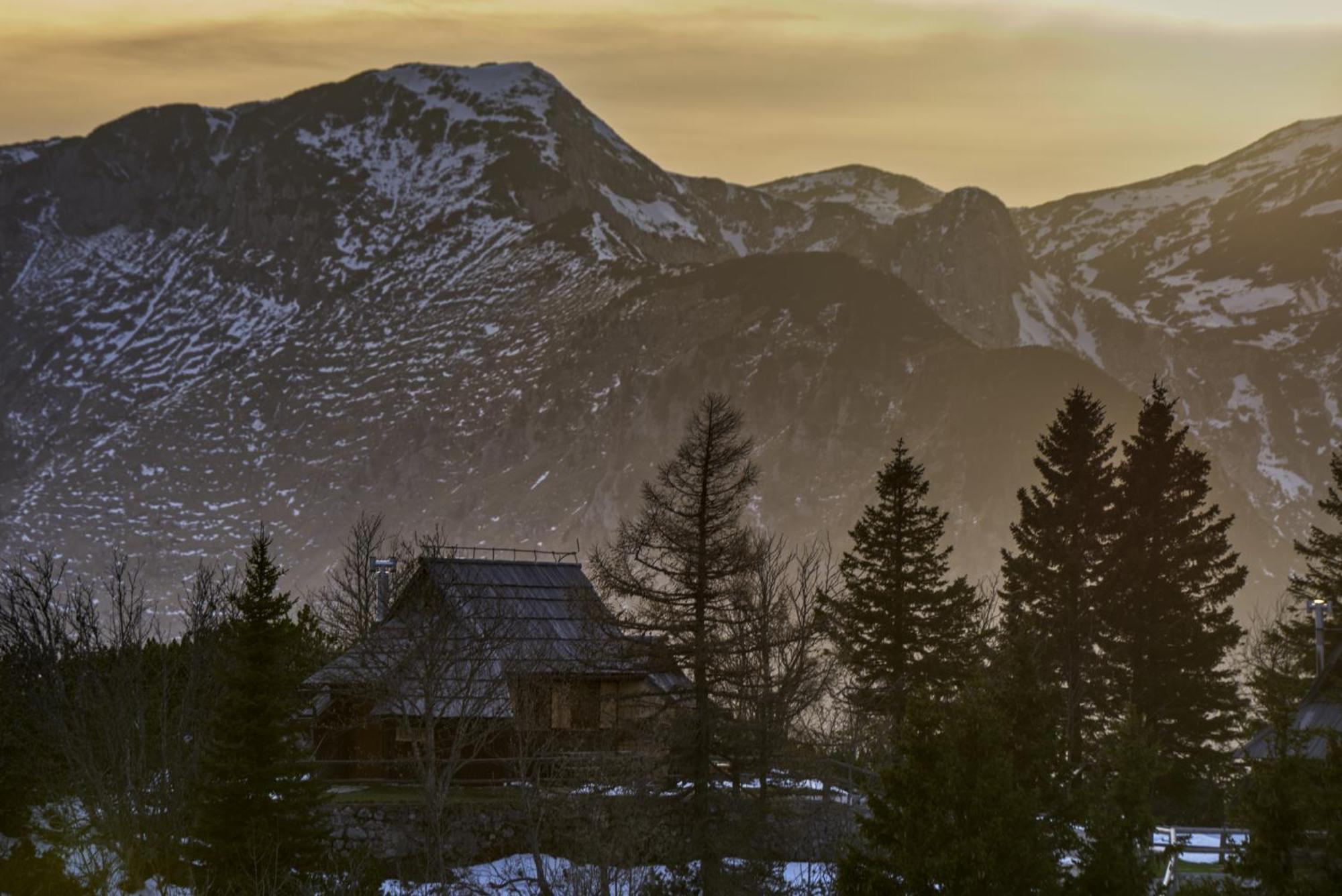 Koca Kronca - Velika Planina Stahovica Exterior foto